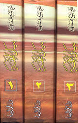 بيان الأئمة للوقائع الغريبة والأسرار العجيبة 