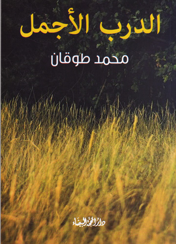 الدرب الأجمل